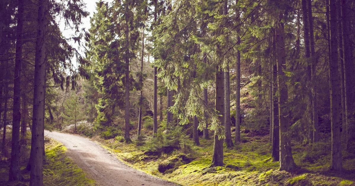 Best Florida Counties for Retirees: Cost, Climate, and Healthcare