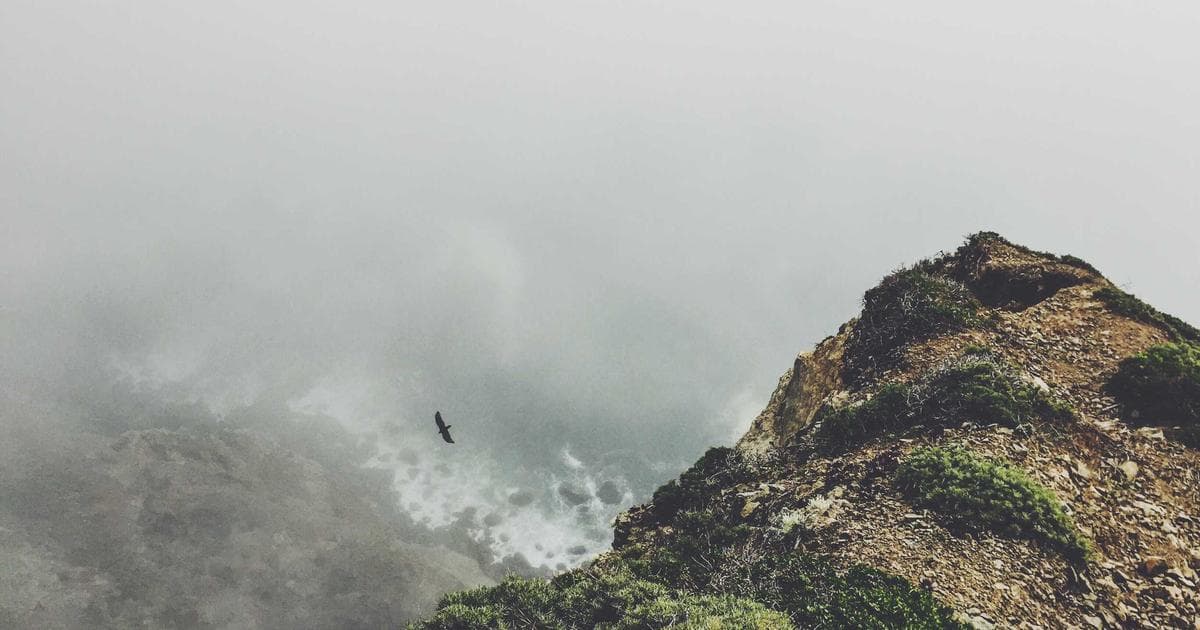 Best States for Retirees to Avoid Taxes