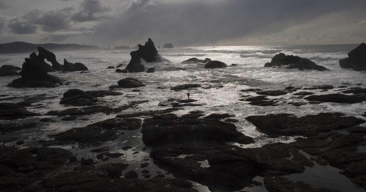 California's $800 Franchise Tax Minimum: Why Businesses Are Fleeing