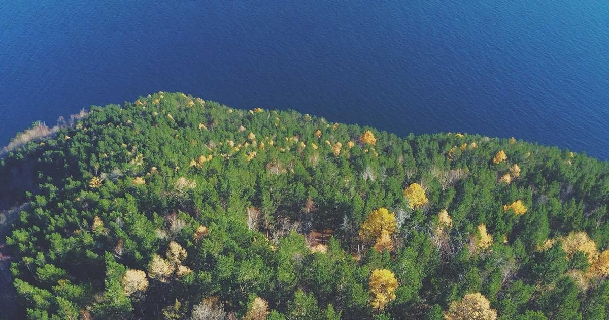 Capital Gains Tax by State: A Full Breakdown