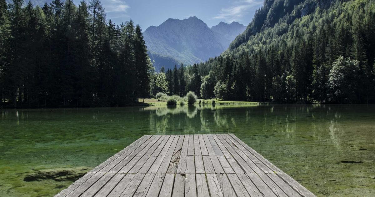 Digital Nomad States: Where to Establish Residency for Tax Savings