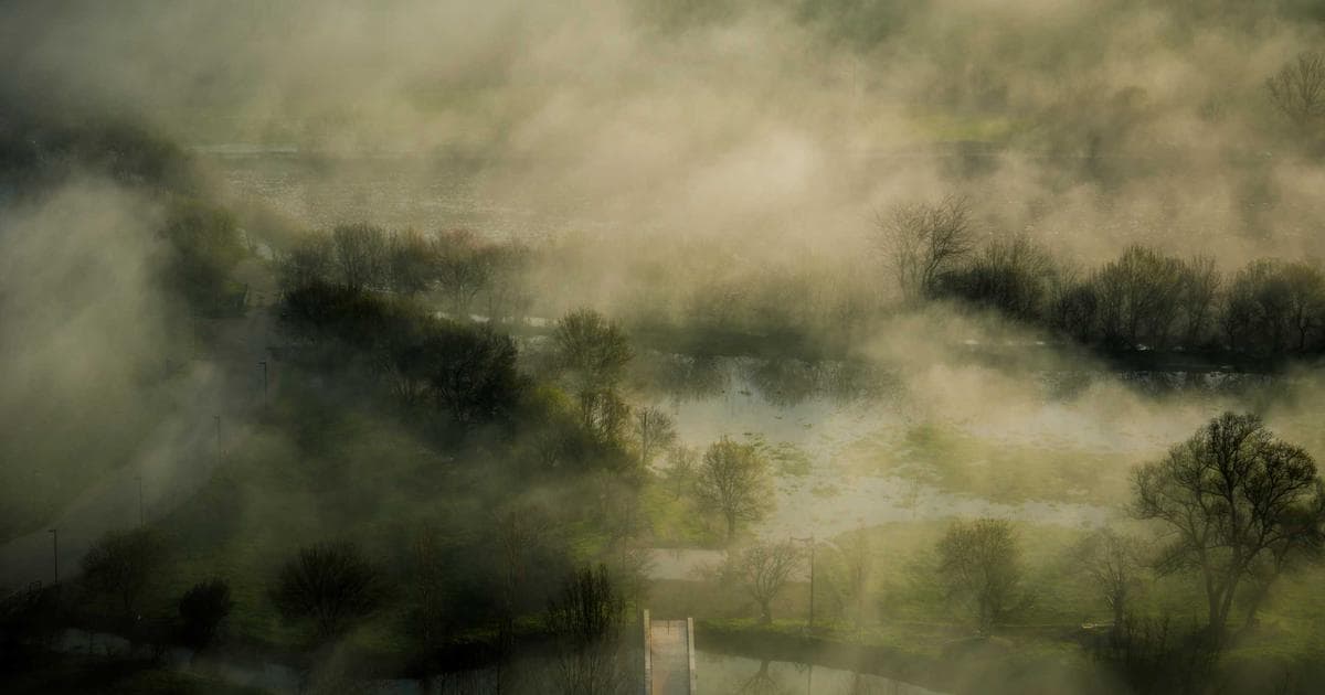 Estate Tax by State: Where Your Heirs Pay Most