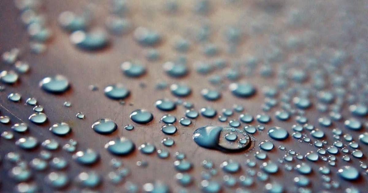 States People Are Fleeing in 2025