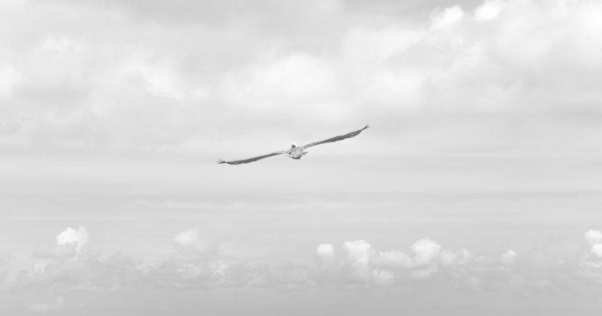 What Is IRMAA? The Medicare Surcharge That Blindsides Retirees